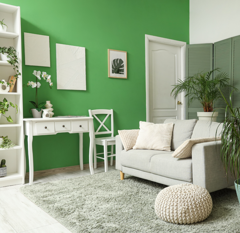 Peinture intérieure salon moderne à Toulouse murs blancs et décoration contemporaine